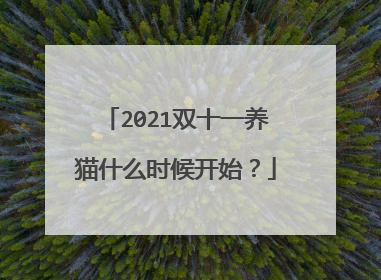 2021双十一养猫什么时候开始?