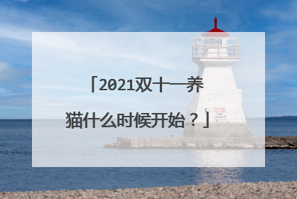 2021双十一养猫什么时候开始?