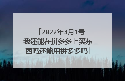 2022年3月1号我还能在拼多多上买东西吗还能用拼多多吗