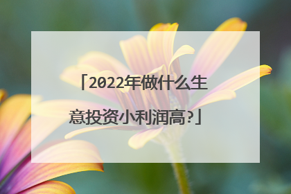 2022年做什么生意投资小利润高?