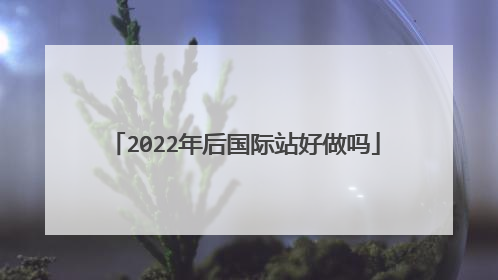 2022年后国际站好做吗