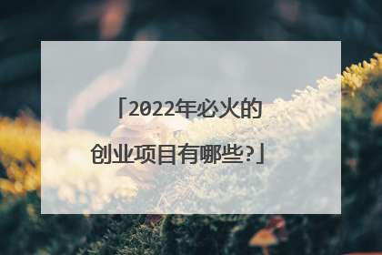 2022年必火的创业项目有哪些?