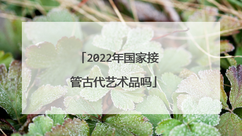 2022年国家接管古代艺术品吗