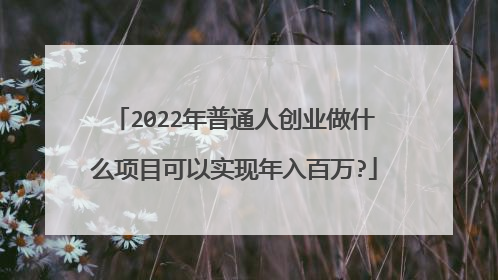 2022年普通人创业做什么项目可以实现年入百万?