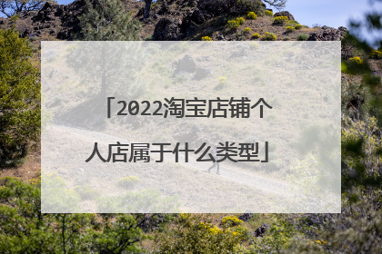 2022淘宝店铺个人店属于什么类型