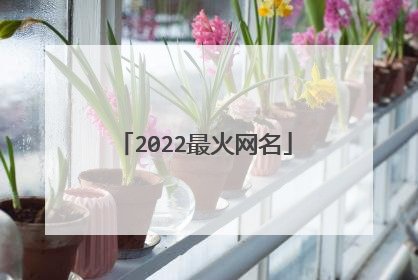 2022最火网名