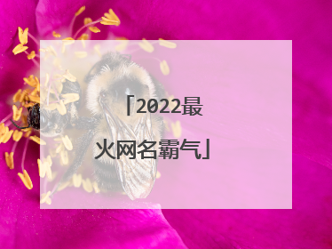 2022最火网名霸气