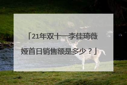21年双十一李佳琦薇娅首日销售额是多少?
