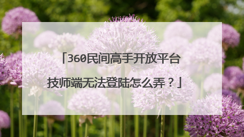 360民间高手开放平台技师端无法登陆怎么弄?