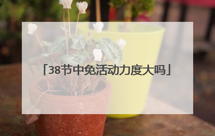 38节中免活动力度大吗