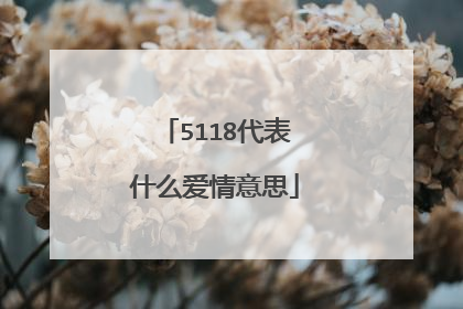 5118代表什么爱情意思