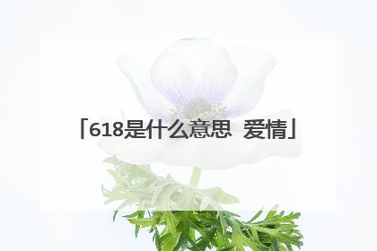 618是什么意思 爱情