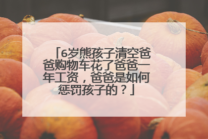 6岁熊孩子清空爸爸购物车花了爸爸一年工资,爸爸是如何惩罚孩子的?