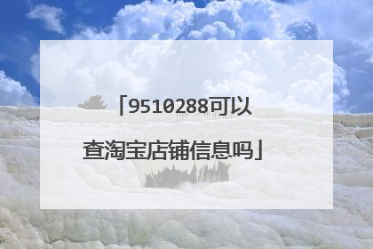 9510288可以查淘宝店铺信息吗