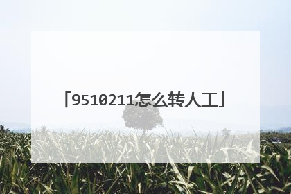9510211怎么转人工