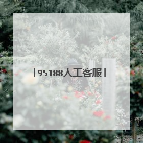 95188人工客服