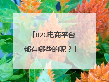 B2C电商平台都有哪些的呢?