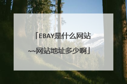 EBAY是什么网站~~网站地址多少啊