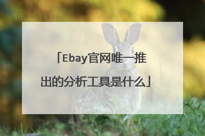Ebay官网唯一推出的分析工具是什么