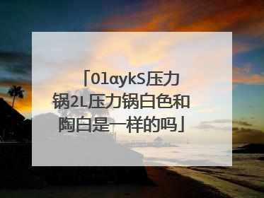 OlαykS压力锅2L压力锅白色和陶白是一样的吗