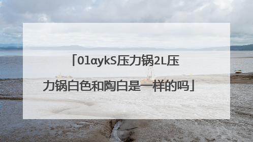 OlαykS压力锅2L压力锅白色和陶白是一样的吗