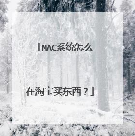 MAC系统怎么在淘宝买东西？