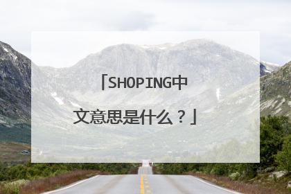 SHOPING中文意思是什么?
