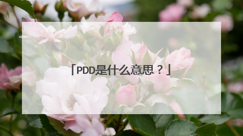 PDD是什么意思?