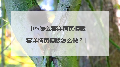 PS怎么套详情页模版 套详情页模版怎么做?