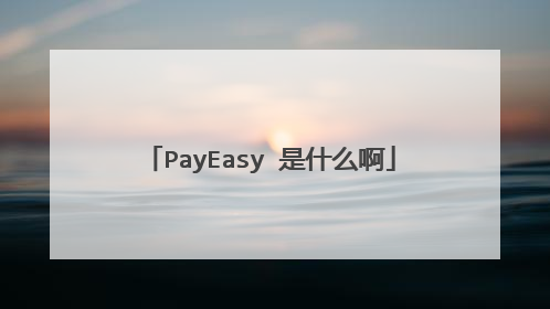 PayEasy 是什么啊