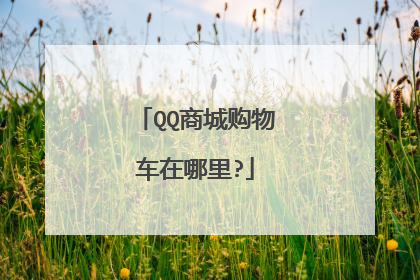 QQ商城购物车在哪里?