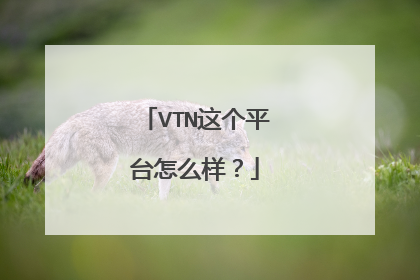 VTN这个平台怎么样?