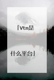 Vtn是什么平台