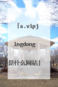 a.vipjingdong是什么网站