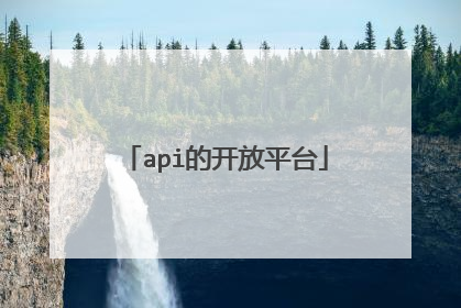 api的开放平台