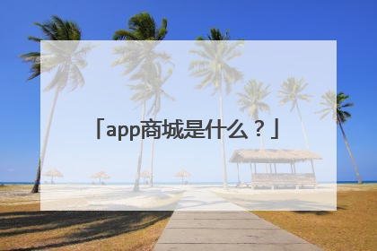 app商城是什么？