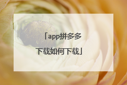 app拼多多下载如何下载
