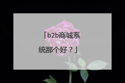 b2b商城系统那个好?