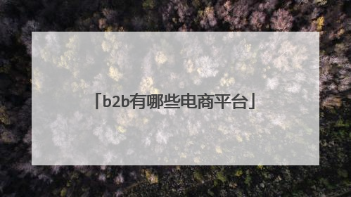 b2b有哪些电商平台