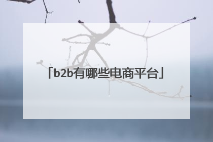 b2b有哪些电商平台