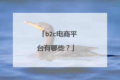 b2c电商平台有哪些?