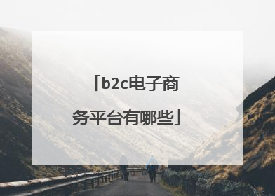 b2c电子商务平台有哪些