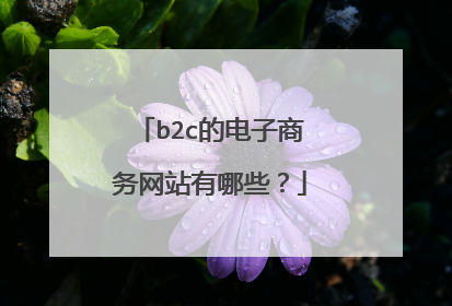 b2c的电子商务网站有哪些?