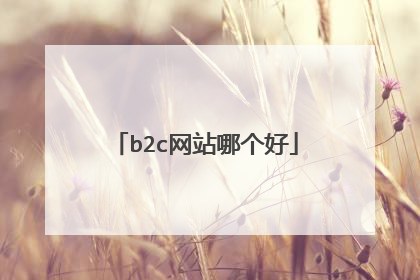 b2c网站哪个好