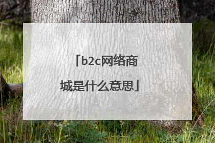 b2c网络商城是什么意思