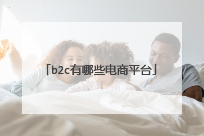 b2c有哪些电商平台