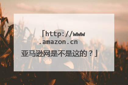 http://www.amazon.cn 亚马逊网是不是这的?