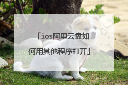 ios阿里云盘如何用其他程序打开