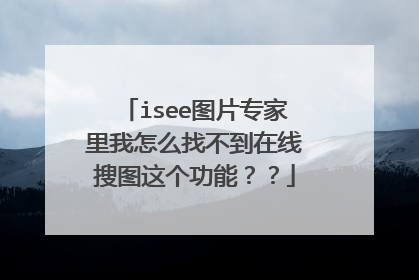 isee图片专家里我怎么找不到在线搜图这个功能？？