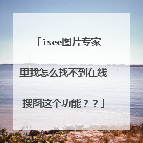isee图片专家里我怎么找不到在线搜图这个功能??